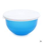 Миска пласт 2л с крышкой Бриг/4-38 (25)