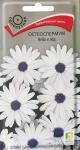 Остеоспермум 0,3гр Небо и лед ЦВ КРАТНО 10шт Поиск/400804