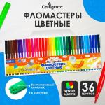 2 Фломастеры 36 цв в ПВХ пленке/5483638