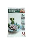 ВЫЦВЕЛА УПАКОВКА Грунт специализированный д/суккулентов 2,5л Царица Цветов (м)