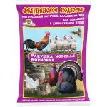 Ракушка морская 1кг КП/1004973